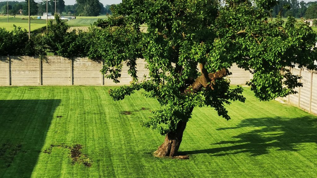 PiGarden — Parte 1: Progettare l'impianto di irrigazione img 20230506 181018 1